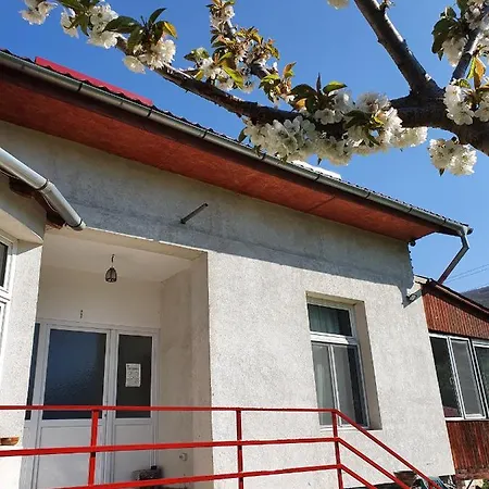Homestay szállás Di Pau (adults Only)