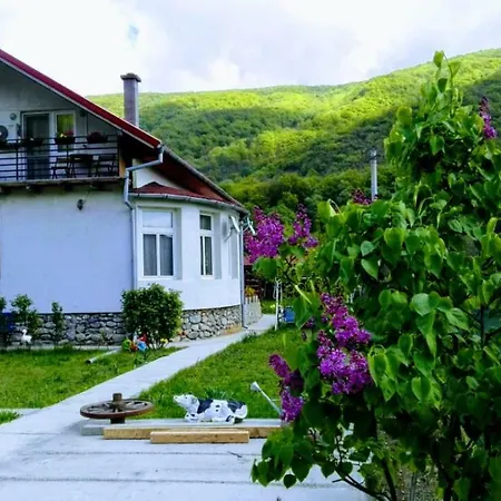 Homestay szállás Di Pau (adults Only)