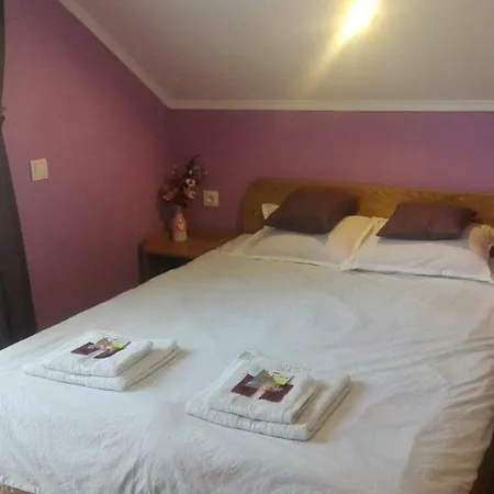 Homestay Di Pau (adults Only) Baile Herculane